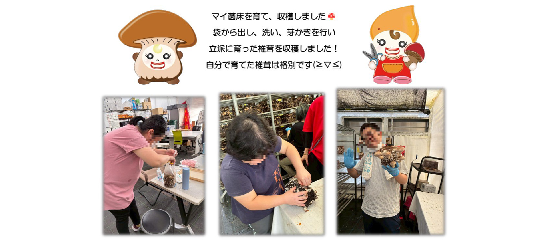 放課後等デイサービスぷるるん