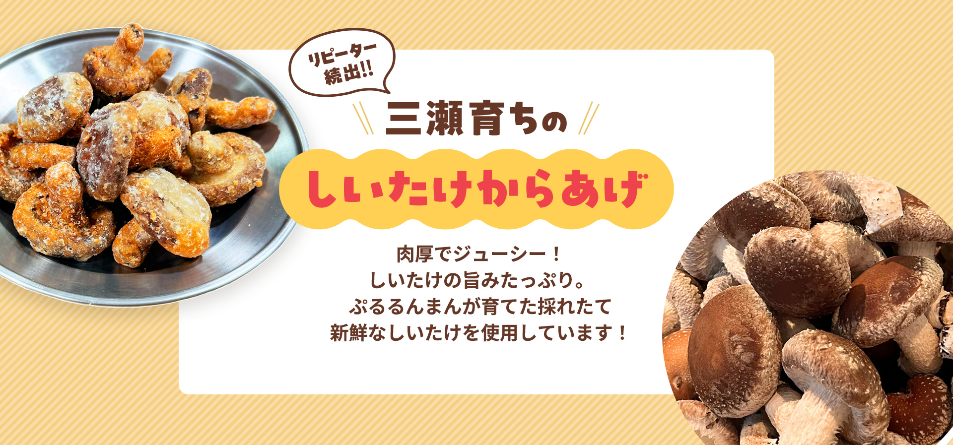 リピーター続出!!三瀬育ちのしいたけからあげ 肉厚でジューシー！しいたけの旨みたっぷり。ぷるるんまんが育てた採れたて新鮮なしいたけを使用しています！